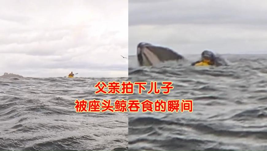 哪吒之五毛特效版,2025澳门天天好彩大全,最新答案解释落实_极速版V7.88
