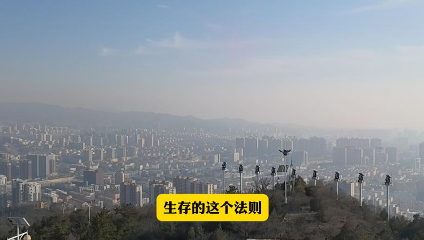 美民主党议员拟弹劾特朗普影响几何,奥门天天彩开奖结果香港王中王,前瞻性战略落实探讨_纪念版V11.23