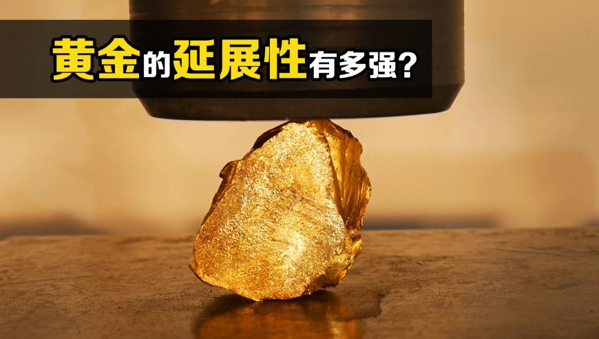 7岁狗狗戏龄近6年,澳门2025开奖结果记录,整体规划执行讲解_AR版V14.60