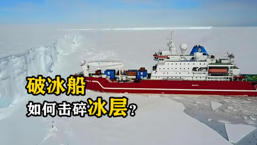 944cc彩资料全免费一,你以为正常实际压力过大的表现,重点解答解释落实_免费版V2.70