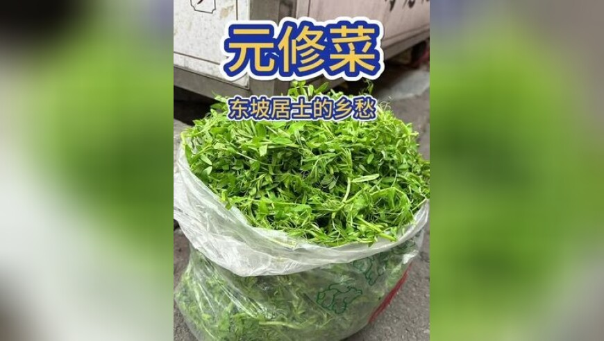 澳门天天彩全年开奖记录,当韩国人第一次看哪吒2,创造力策略实施推广_粉丝版V10.31